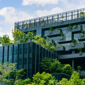 Learn about our green initiatives