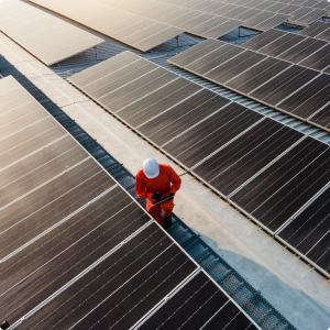 Renewable in part of our DNA